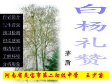 语文版九年级上册《白杨礼赞》ppt课件之二