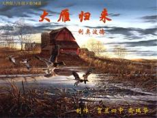 大雁归来ppt