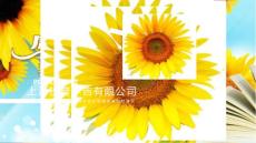 葵花朵朵-2011年教师节PPT模板