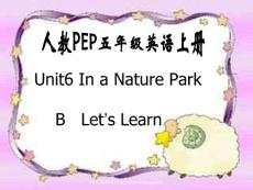 （人教PEP）五年级英语上册课件 Unit 6第二课时