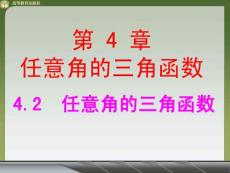 4.2  任意角的三角函数(二