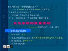 高中生物生态系统的能量流动课件3 新课标 人教版 必修3