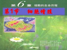  新人教版必修1高中生物 