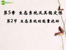 高中生物 第2节生态系统的能量流动课件