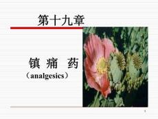第19章  镇痛药