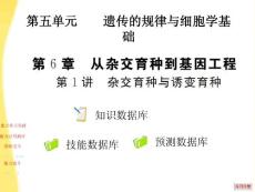 2012高考生物 6.1 杂交育种与诱变育种复习课件
