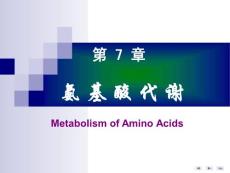 第七版生物化学PPT课件-第七章 氨基酸代谢