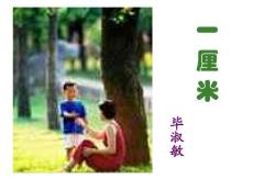 苏教版 初中语文九年级下册9下《一厘米》课件