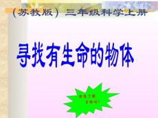 寻找有生命的物体 PPT课件