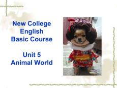英语教学基础课basic course unit 5