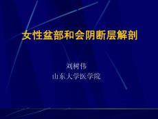 基础医学断层解剖学PPT课件 12_女性盆部和会阴断层解剖