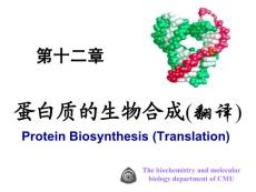 中国医科大基础医学生物化学PPT课件 第十二章 蛋白质的生物合成(翻译)