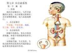 上海中医药基础医学系统解剖学PPT课件 内分泌系统