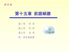 中国医科大基础医学系统解剖学PPT课件 第十五章 前庭蜗器