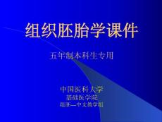 中国医科大基础医学组织学与胚胎学PPT课件 15泌尿系统