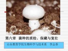 菌种的质检
