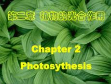 精品课程《植物生理学》课件 3 光合作用