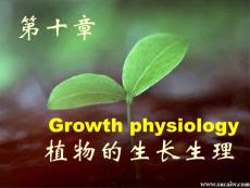 精品课程《植物生理学》课件 10 植物的生长生理.ppt