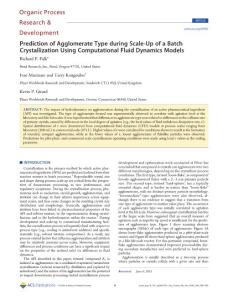 prediction of agglomerate type during scale up