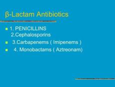 β-内酰胺类抗生素（英文PPT）β-Lactam Antibiotics