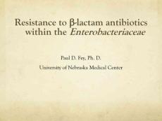 肠杆菌科的beta-内酰胺类抗生素耐药