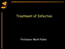 感染的治疗（英文PPT）Treatment of Infection-Antibiotics