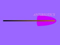 抗生素知识大全（英文）ANTIBIOTICS