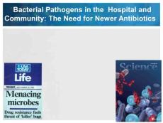 抗生素耐药与新型抗生素Bacterial Pathogens in the  Hospital and Community- The Need for Newer Antibiotics