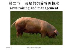河南农业大学养猪教研室