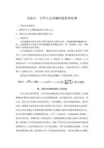 实验六  甘草中总黄酮的提取和检测