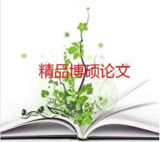 精品学位论文-双馈风力发电机的稳态分析与变流器设计（PDF格式可编辑）