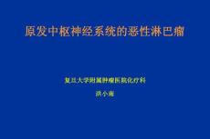 原发中枢神经系统的恶性淋巴瘤  洪小南