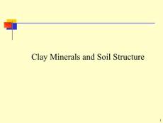 Clay Minerals and Soil Structure