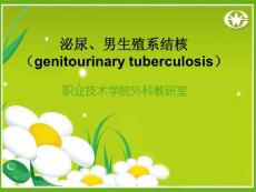 《外科学》教学课件 外科课件 泌尿、男生殖系结（genitourinary tuberculosis）(12P)