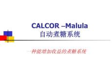 CALCOR –Malula（自动煮糖介绍）