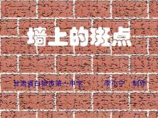 《墙上的斑点》课件1