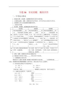 2010年初中化学中考复习专题16  常见的酸 酸的共性 【精编】