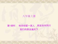 人教版思品八年级复习课件合集
