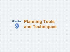 《管理学》课程教学课件 英文版 第九章 Planning Tools and Techniques(38P)