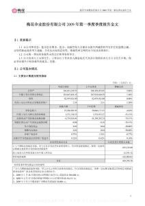 深市_002174_梅花伞_2009年第一季度报告