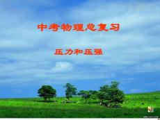 中考物理总复习之压力压强