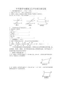 ((新人教版))中考数学专题复习之平行线与相交线