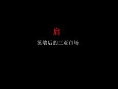 海南三亚擎天半岛旅游度假项目广告推广汇报_198页