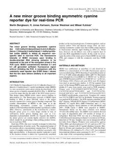 a new minor groove binding asymmetric cyanine reporter dye for real-time PCR