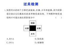 必修1 第三、四章 过关检测 高三生物ppt课件教案 人教版