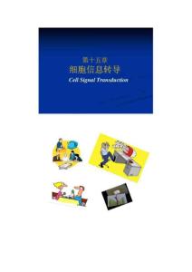四川大学生物化学课件 细胞信息转导