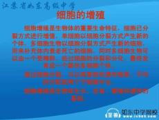 细胞的增殖 细胞增殖是生物体的重要生命特征，细胞已分裂方式进行增值 ... [课件]