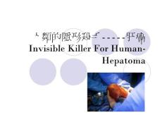 人类的隐形杀手-----肝癌Invisible Killer For Human-Hepa [课件]