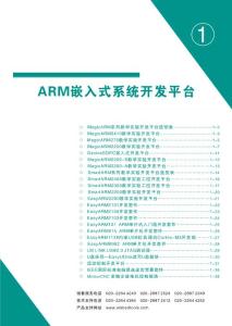 ARM嵌入式系统开发平台
