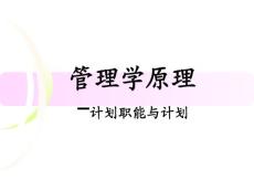 管理学原理-计划职能与计划